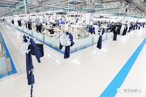 青岛品牌日与智能科技产品的技术开发 创新驱动，智造未来