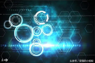 华美汇商城共享经济模式App系统开发 智能科技产品的创新实践